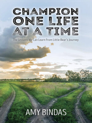 cover image of Champion One Life at a Time